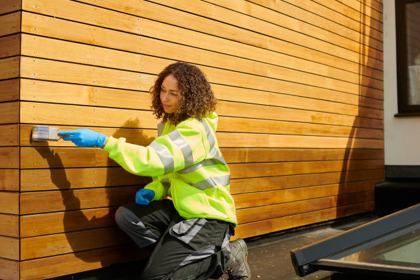 Best Brick Veneer Siding  in River Grove, IL